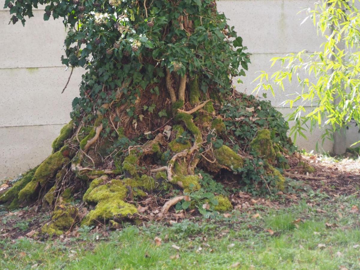 Château Ségot Neuilly-le-Réal Esterno foto